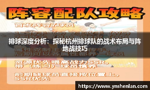 排球深度分析：探秘杭州排球队的战术布局与阵地战技巧
