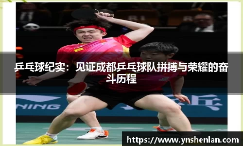 乒乓球纪实：见证成都乒乓球队拼搏与荣耀的奋斗历程