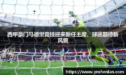 西甲豪门马德里竞技迎来新任主席，球迷期待新风貌