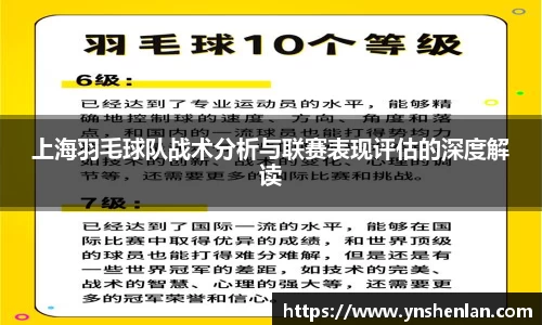 上海羽毛球队战术分析与联赛表现评估的深度解读