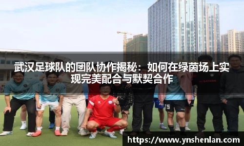 武汉足球队的团队协作揭秘：如何在绿茵场上实现完美配合与默契合作