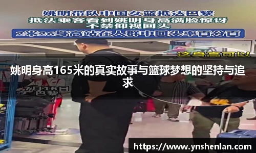 亿兆体育app官网