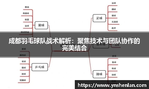 成都羽毛球队战术解析：聚焦技术与团队协作的完美结合
